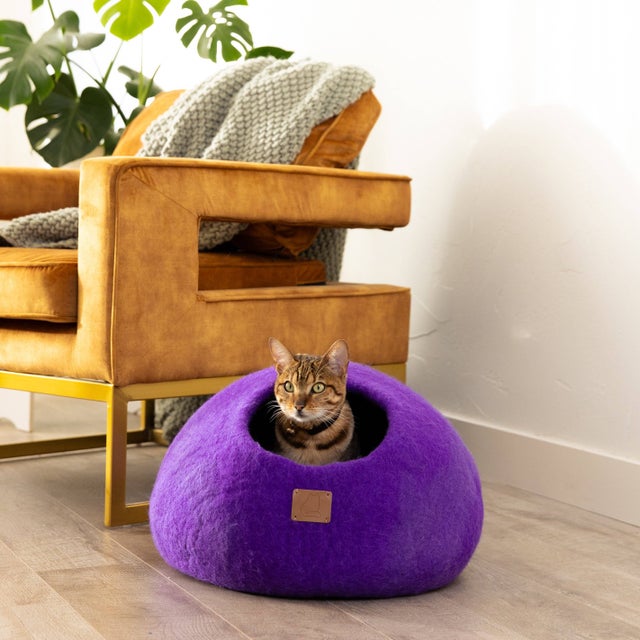 Purple cat bed best sale